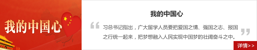 我的中國心