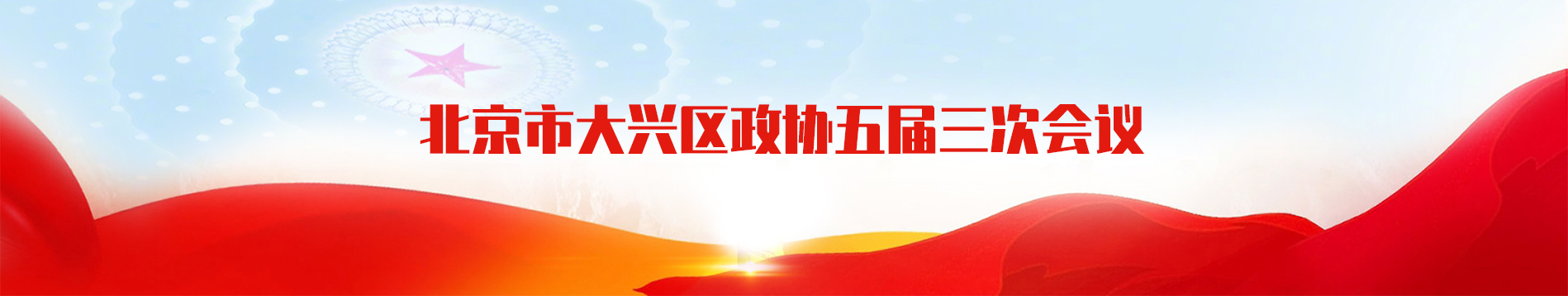 北京市大興區政協五屆三次會議專題