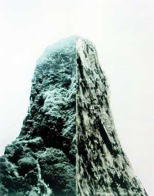 尚揚(yáng)《碑》　　這件作品體量頗大，達(dá)到了360cmX290cm，即使在普遍以大畫為主的一樓展廳里也頗為醒目。左半幅郁郁蔥蔥的山林與右半幅炭化皸裂的山體對比強(qiáng)烈，技法高超，超寫實的綜合材料制作方式讓人印象深刻，畫面可以從生態(tài)環(huán)保、二元哲學(xué)、時空觀、生命隱喻等多重角度進(jìn)行解讀，每個觀眾都可以容易地從中尋找自己的理解，或許正是因為這樣，許多觀眾選擇在這張作品前留影紀(jì)念。