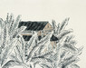 image9