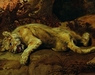 image6