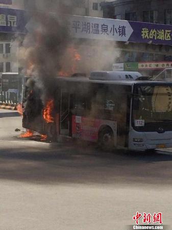 哈爾濱一公交車自燃無傷亡 原因待查 圖片來自網絡 攝3
