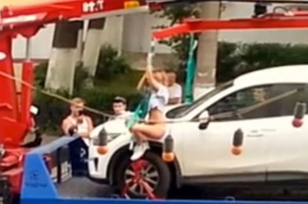 網頁截圖