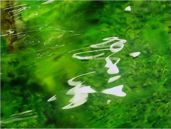 秦玉?！墩嫠废盗袛z影作品