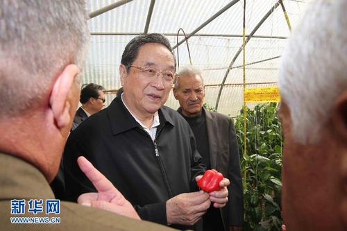 11月8日，正在約旦進行正式友好訪問的全國政協(xié)主席俞正聲在約旦河谷參觀碩果農(nóng)業(yè)合作社。 新華社記者 劉衛(wèi)兵 攝