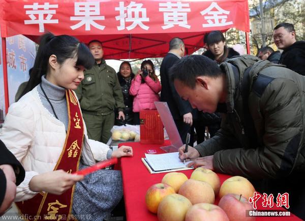 2014年12月23日，河南省鄭州市，在二七路一珠寶廣場(chǎng)，200多位市民排起了數(shù)十米長(zhǎng)隊(duì)，拿著蘋(píng)果等待換黃金。據(jù)介紹，為了迎圣誕節(jié)，凡持一對(duì)蘋(píng)果到當(dāng)?shù)匾恢閷毜?，即可免費(fèi)兌換迷你“招財(cái)金”小金條一個(gè)。圖為市民在排隊(duì)兌換。盧鍵 攝 圖片來(lái)源：東方IC 版權(quán)作品 請(qǐng)勿轉(zhuǎn)載