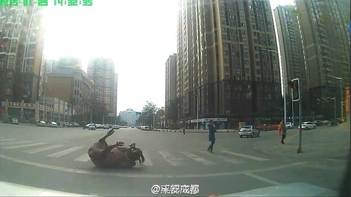 圖為民警連開4槍后，水牛仍在掙扎。