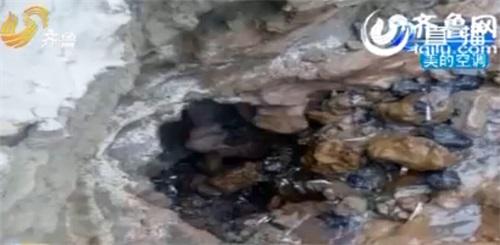 山東聊城徒駭河現“無底洞” 吸干河水致斷流(圖)2