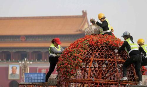 目前天安門(mén)廣場(chǎng)正在進(jìn)行五一花壇的擺放攝 記者楊益