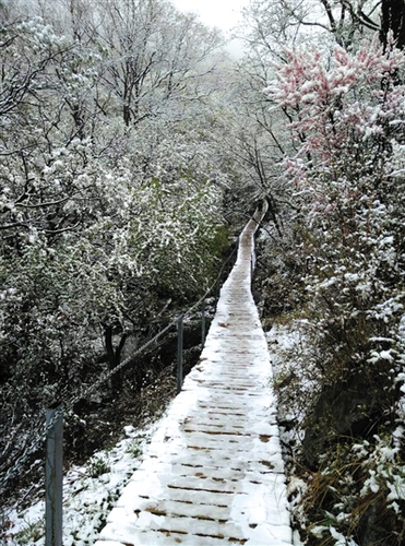 昨日中午，靈山上飄起小雪，至下午3點(diǎn)30分左右雪停。