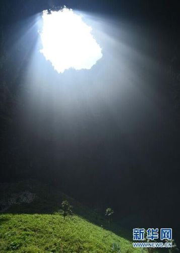 　5月19日，鑼圈巖天坑里的植物沐浴陽光