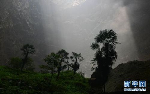　5月19日，陽光照進(jìn)鑼圈巖天坑。