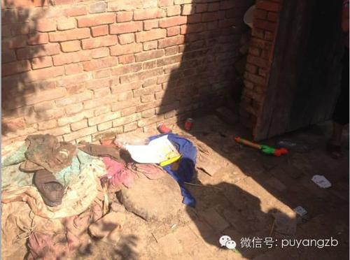 大門后面的墻角，就是小洪波一年四季的棲息地。
