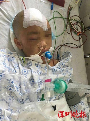 因偷拿家中錢，深圳羅湖桂園7歲女童莉莉（化名）被母親毆打，送醫時瞳孔放大、呈昏迷狀態。經過緊急搶救，莉莉存活希望比較大，但仍處于昏迷狀態，目前正在重癥監護室。羅湖警方表示，其母已經被控制