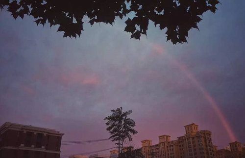 網友拍攝到的彩虹。