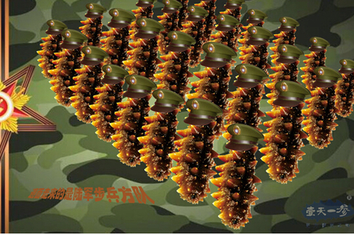 　　海參穿越閱兵照，坦克兵方隊(duì)接受檢閱