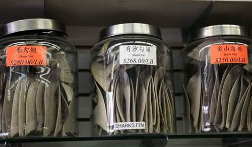 魚翅售價(jià)不菲，但用它做的湯往往作為地位的象征，出現(xiàn)在中國傳統(tǒng)婚宴上。