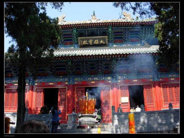 少林寺免費發玉米:每天限量派送5000多穗 游客排隊領取