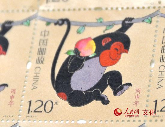 近距離能看見一根根清晰可見的猴毛。(人民網 王鶴瑾 攝)