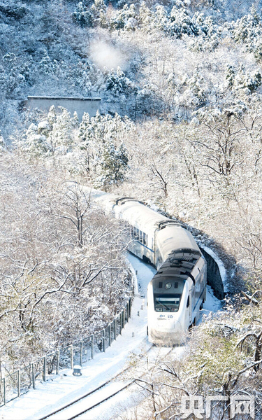 S2列車如一條銀蛇，穿梭于寂靜的深谷，沿途積雪千樹萬樹猶如梨花盛開，時間宛若凝固。