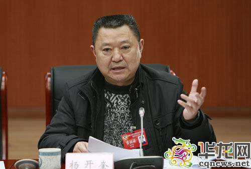 參會(huì)的市政協(xié)委員依次發(fā)言。