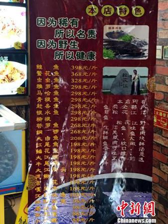 前后兩日，鰉魚頭并未在飯店公示的易拉寶菜牌上“明碼標價”。　王琳 攝