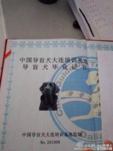記者獲悉，公安部門正在全力調查中。圖為喬喬的畢業證。