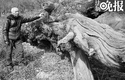 點(diǎn)擊進(jìn)入下一頁(yè)