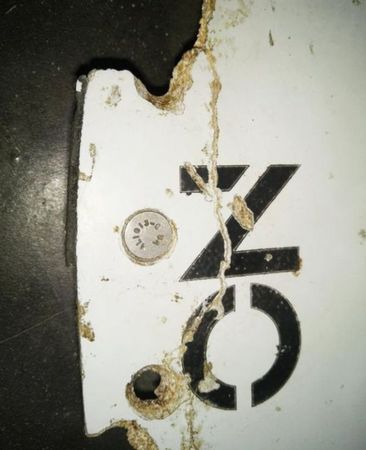 在莫桑比克新發(fā)現(xiàn)的物塊大約有一米長(zhǎng)。