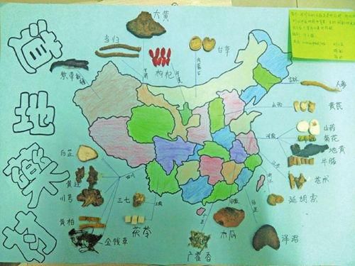 3大學(xué)生手繪全國道地藥材分布圖 花費(fèi)3小時(shí)(圖)