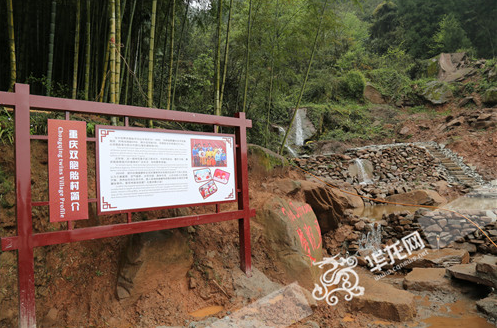 爺孫三代都是雙胞胎！重慶一個村出了39對雙胞胎待解謎