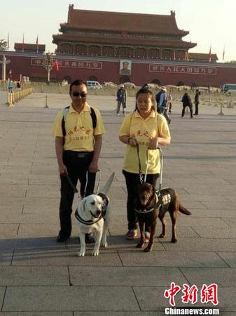 導(dǎo)盲犬引領(lǐng)兩位盲人到天安門廣場(chǎng)感受升旗儀式。