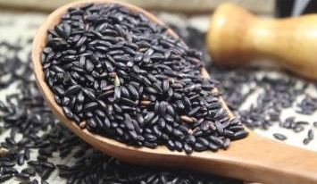 腰痛就是腎虛嗎？養腎必讀的“三字經”