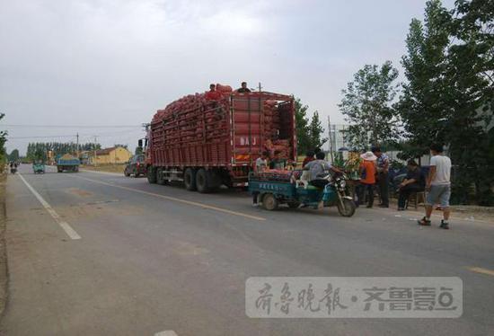 在商河縣白橋鎮(zhèn)亓家官莊村，不少大車停在村頭收大蒜。