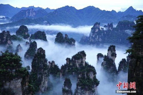 飄渺無形的云海穿梭在連綿峰林間，奇美無比。1
