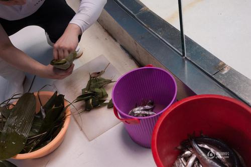 飼養(yǎng)員滿玉忠為了讓海獅過一個(gè)快樂的“端午節(jié)”，用許多魚肉做成肉餡，包在粽子葉里。