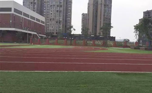 成都教科院附小的操場跑道，多位到過學(xué)校的家長反映，跑道和教室均有刺鼻的味道。