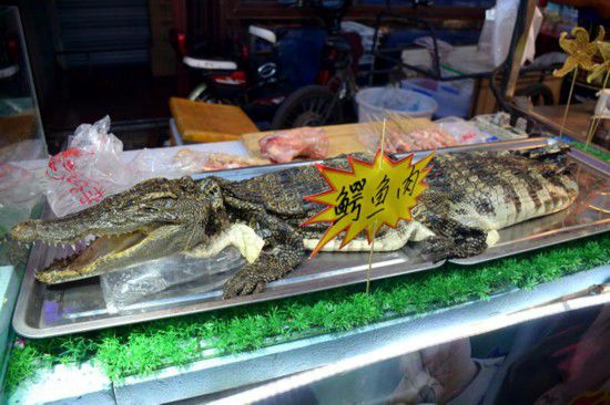 沈陽現鱷魚肉烤串 20元一串引市民圍觀