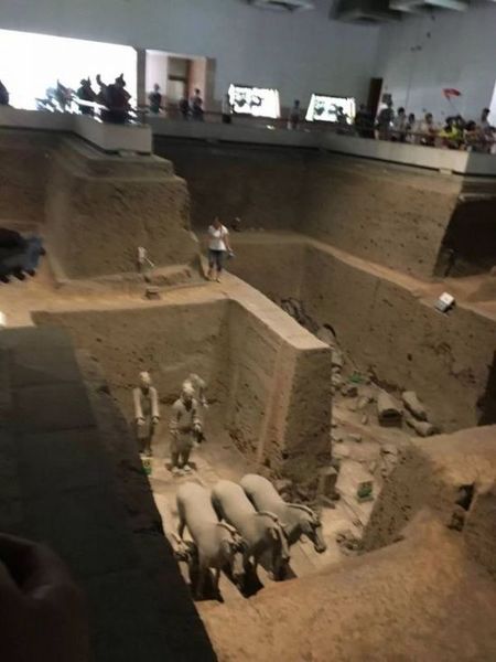 大媽跳進兵馬俑坑內撿拾水杯
