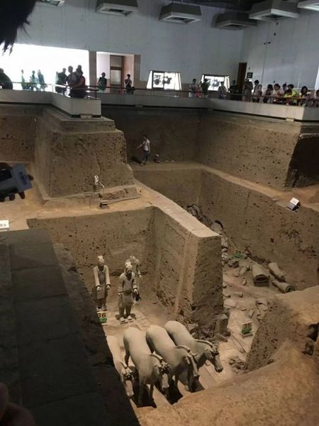 大媽跳進兵馬俑坑內撿拾水杯