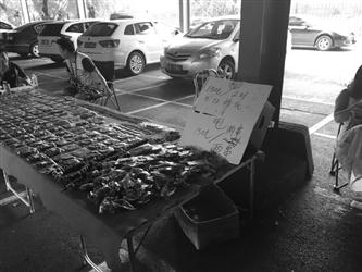 　　魯園古玩城內(nèi)一個賣核桃和金剛的攤位上立著“150元兩件甩貨”的牌子。攤主面露難色地　告訴記者，甩貨的是去年剩的金剛和核桃，當時都是賣三四百元的東西。遼沈晚報、聊沈客戶端記者　譚珊珊　攝