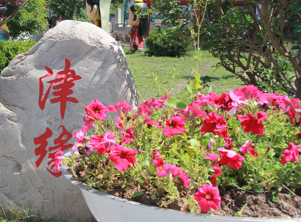 天津援建的尖扎縣街心公園里立“津緣”離石