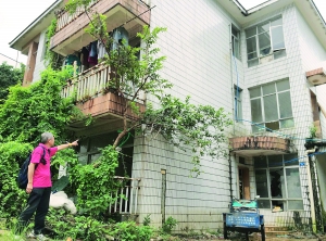 圖片　　金伯告訴記者，新別墅建好后他在陽臺前種了棵番石榴樹。如今樹已長成，但金伯卻依然未能收樓入住。