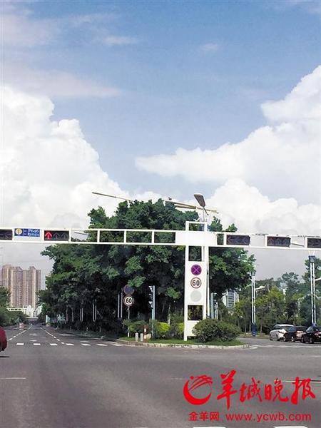 涉事路段亞運大道，路況較好，限速60公里的標識較清楚