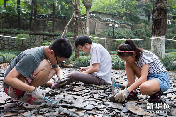 8月21日，市民在南京古生物博物館參加“砸化石”活動。1