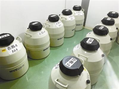 精子庫供不應求 受捐家庭排隊一年