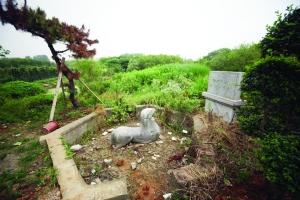 現代快報資料圖片