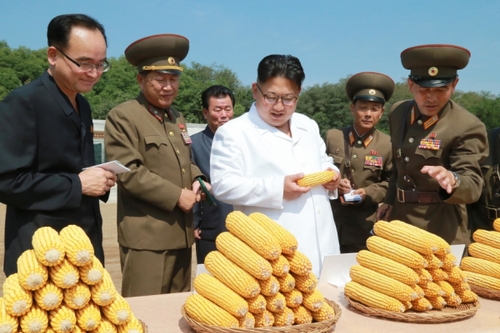 金正恩察看農作物試點栽培田和溫室等，具體了解了育種情況。金正恩對農場新培育出的適合朝鮮氣候土壤條件、產量高的玉米品種表示滿意。金正恩就農場的今后工作作出指示，并為新品種玉米命名“平玉9”號。