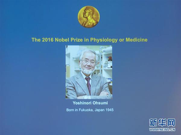 10月3日，在瑞典斯德哥爾摩，獲得2016年諾貝爾生理學或醫學獎的日本科學家大隅良典的肖像在新聞發布會上展示。瑞典卡羅琳醫學院3日宣布，日本科學家大隅良典獲得2016年諾貝爾生理學或醫學獎，以表彰他在細胞自噬機制研究中取得的成就。新華社發（石天晟攝）