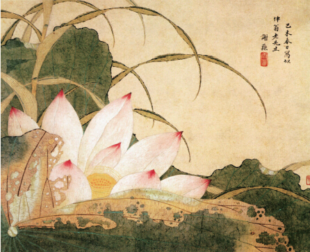 謝蓀 《荷花圖》 （清代）